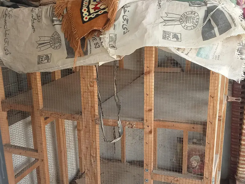 big cage — photo 3