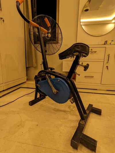 Manual Exercise Bike
