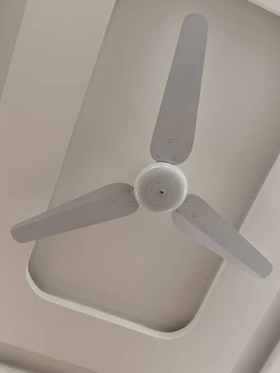 Ceiling fans for sale