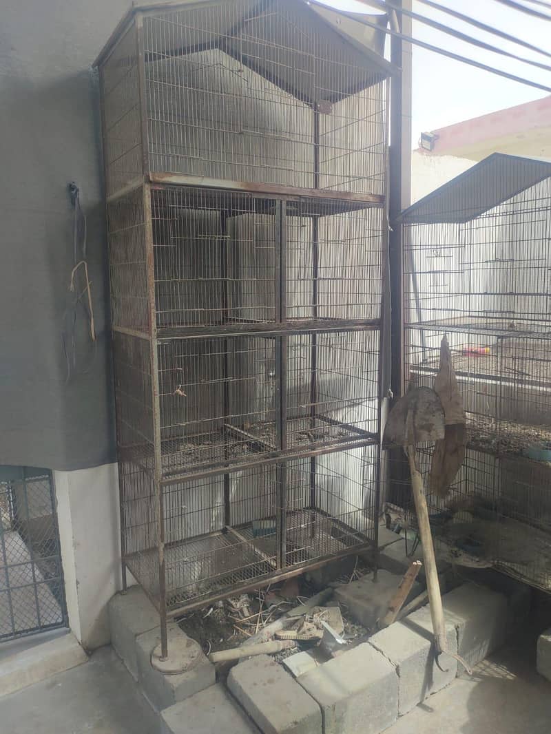 cages 1