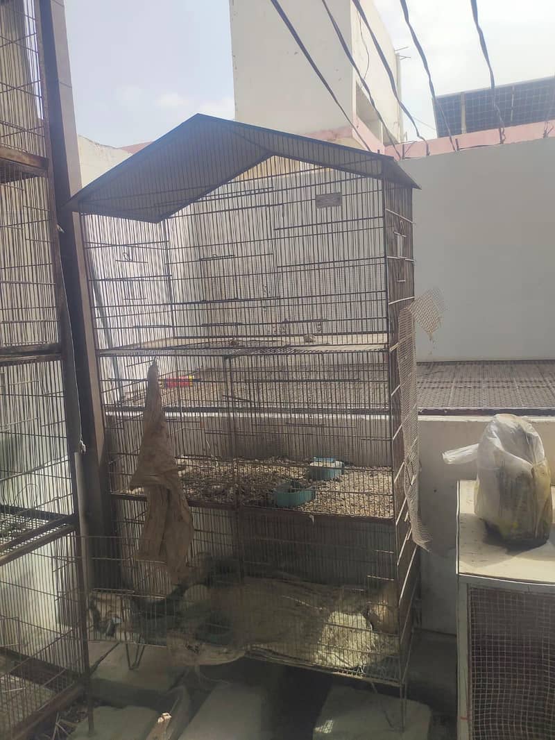 cages 3