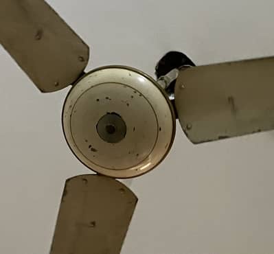Fan seilling 2 pair