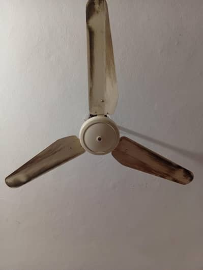 ceiling fan 56 size
