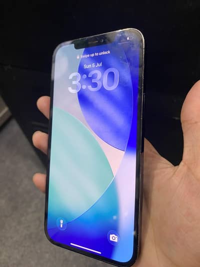 apple iPhone 12 pro max