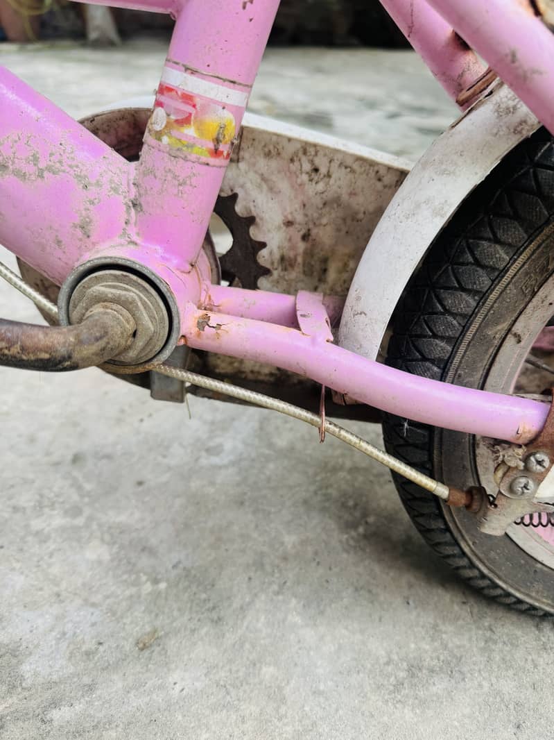 Cycle ha 1