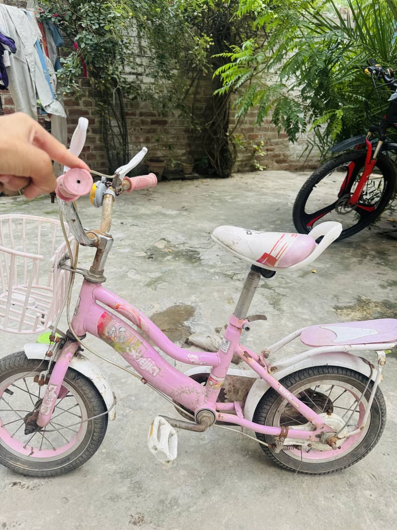 Cycle ha 2