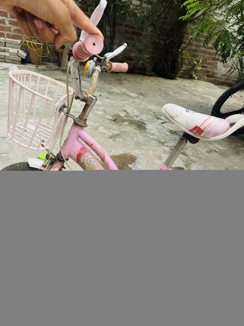 Cycle ha 4