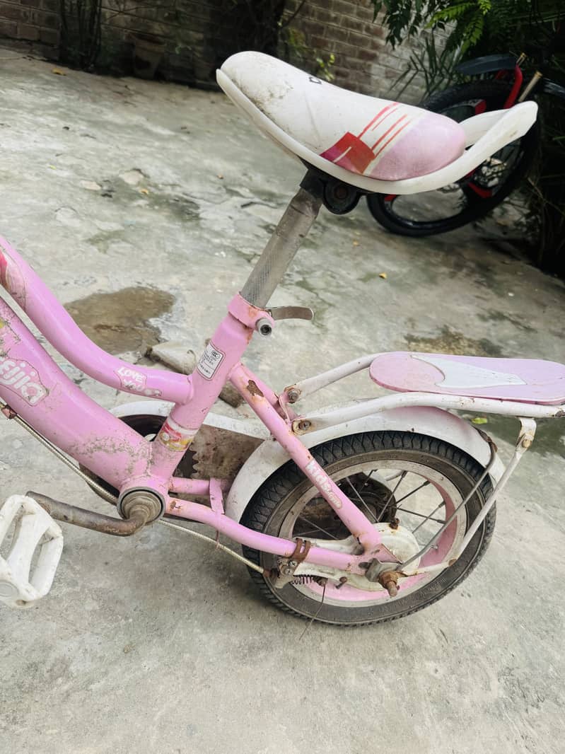 Cycle ha 5