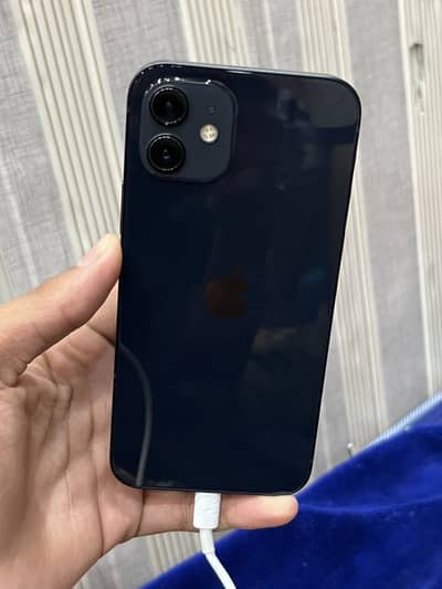 Apple iPhone 12 pta approve