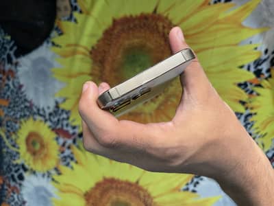 Apple iPhone 13 Pro