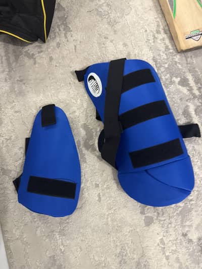 Brand new crickets kit with English willow bat