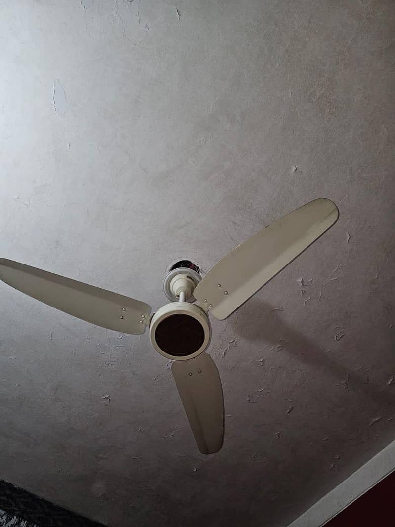 ceiling Fan 0