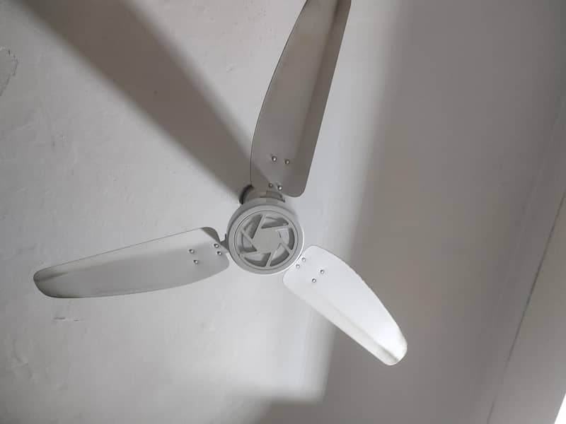 ceiling Fan 1