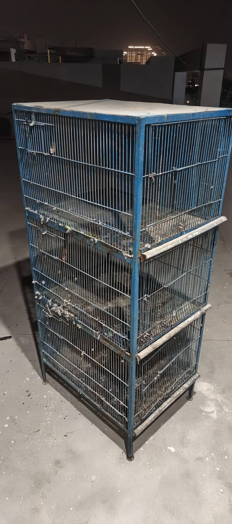 cage 3 portion 1