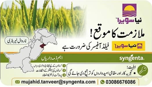 Field Officer