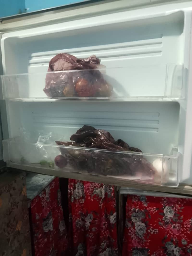 fridge 3