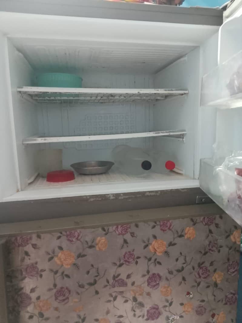 fridge 4