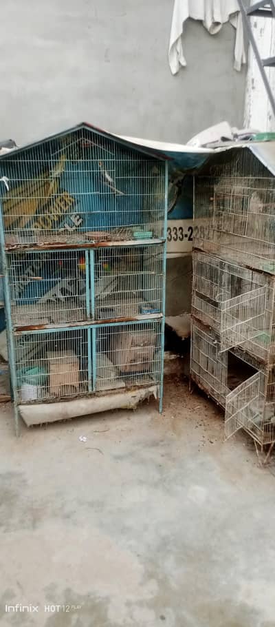 cocktails and cages