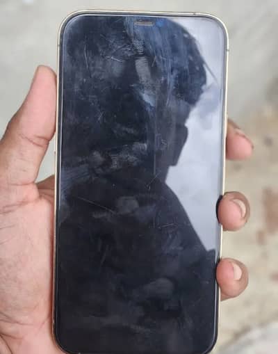 Apple iPhone 12 Pro Max