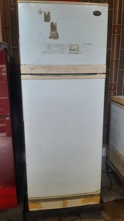 PEL Daewoo Full Size Fridge