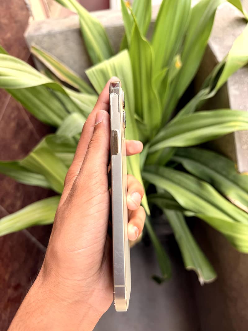 iPhone 12 Pro Max 1