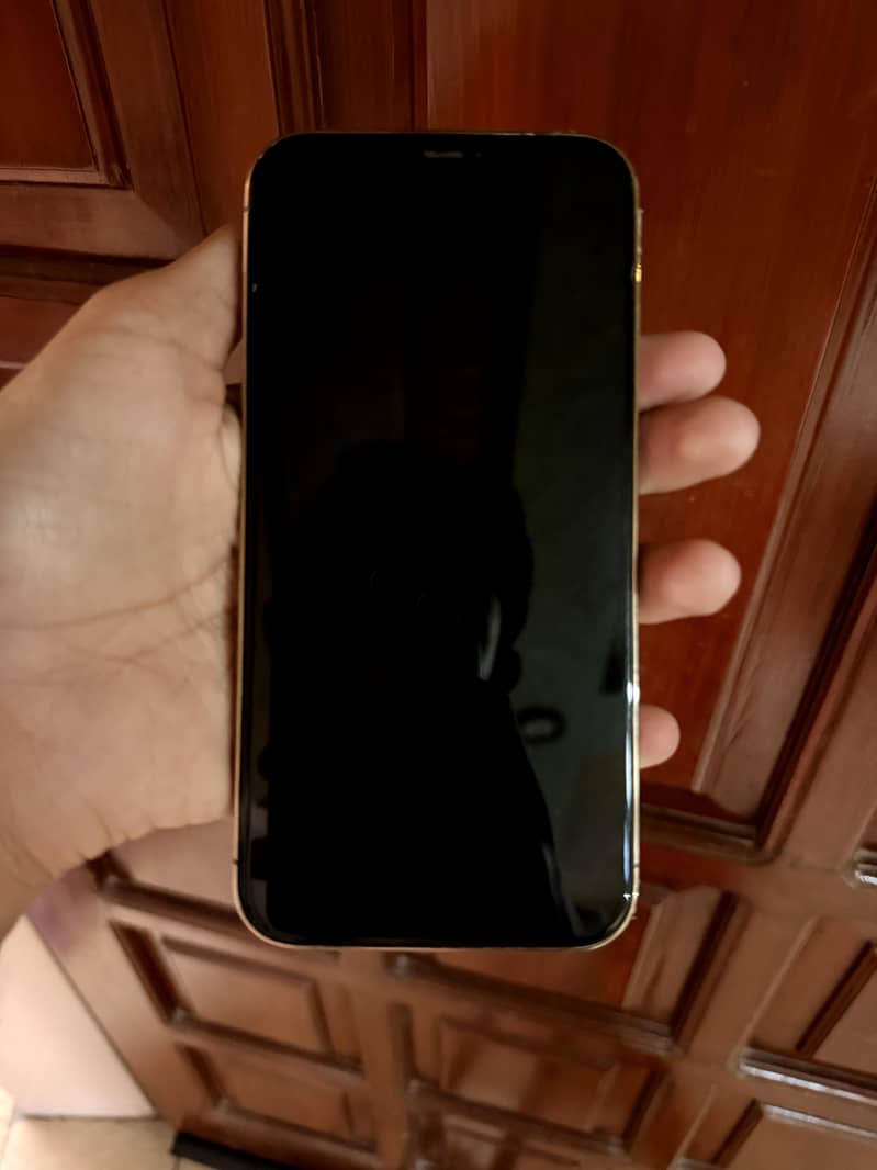 iPhone 12 Pro Max 3