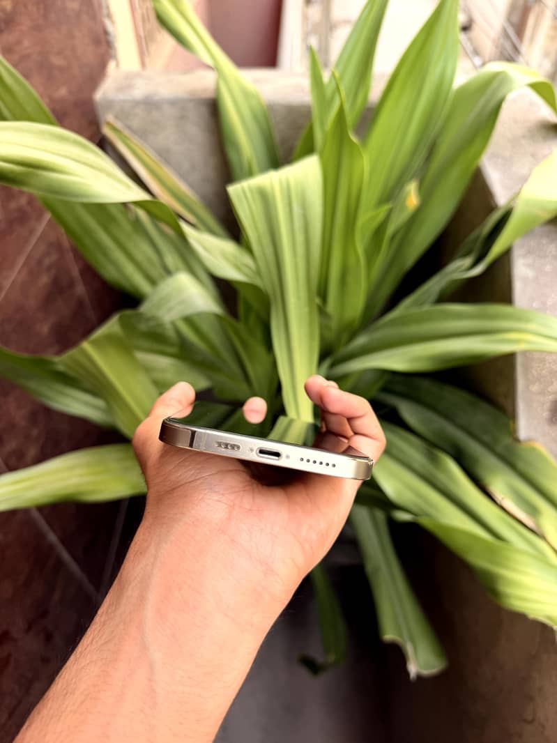 iPhone 12 Pro Max 5