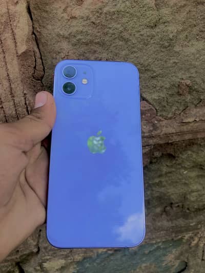 Apple iPhone 12