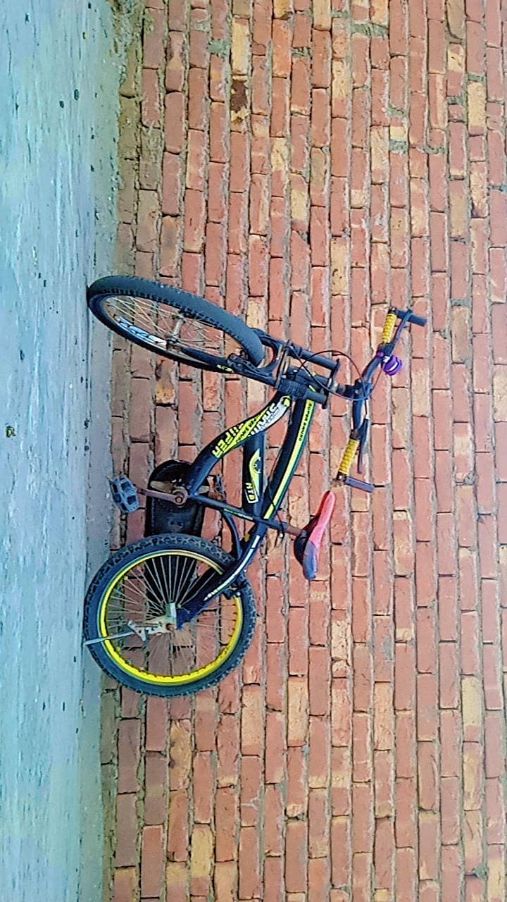 bicycle 1