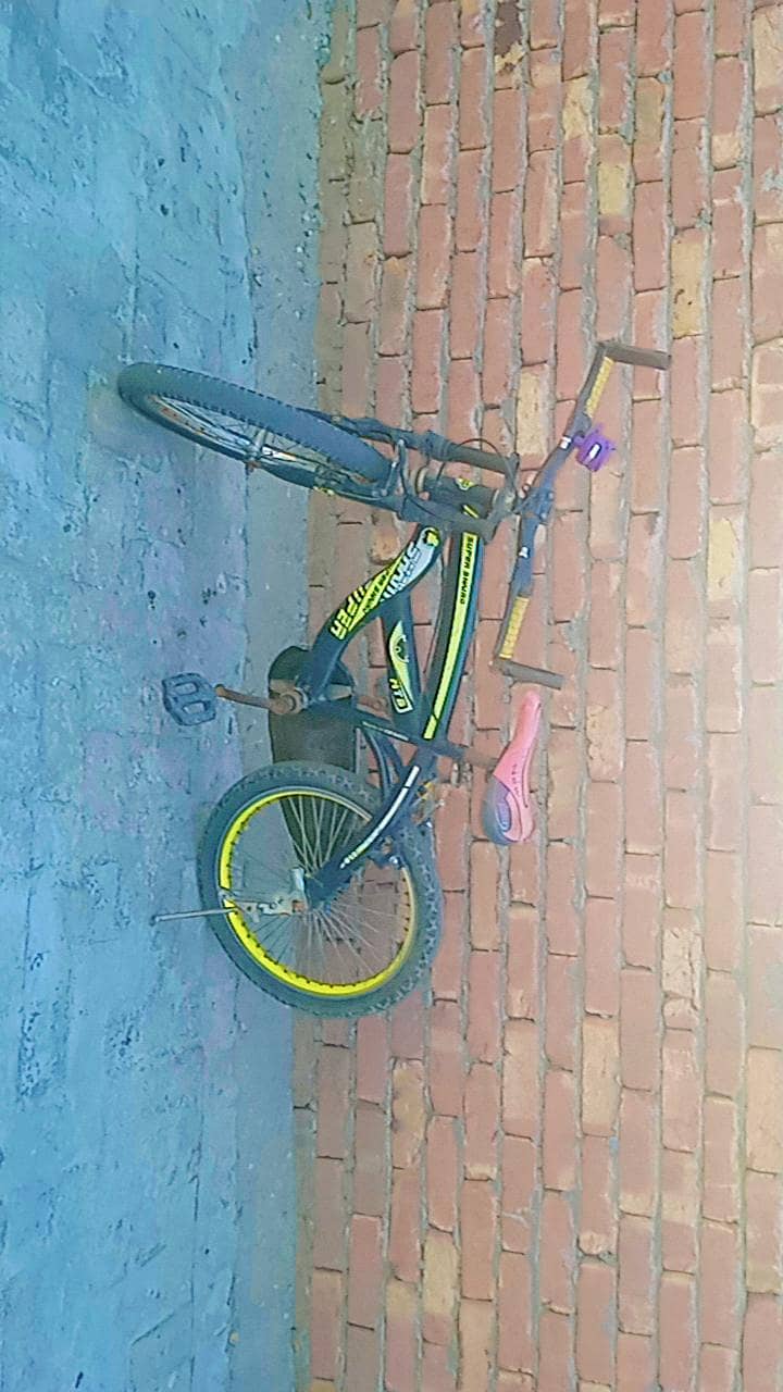 bicycle 2