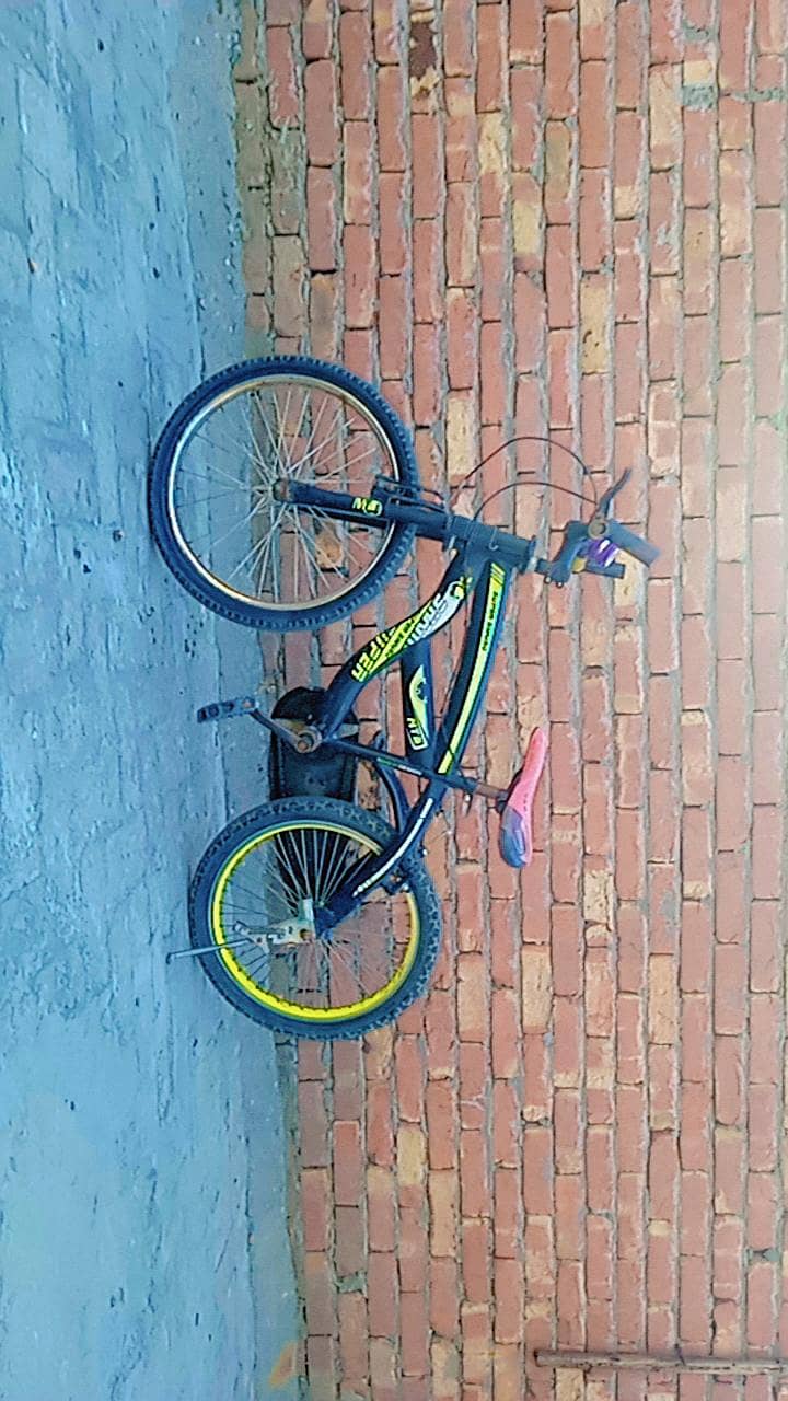 bicycle 3