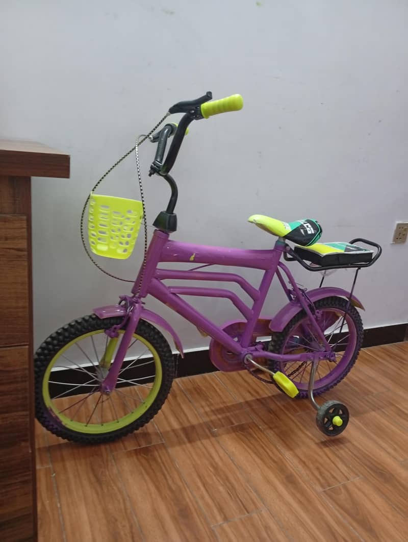 bicycle 1