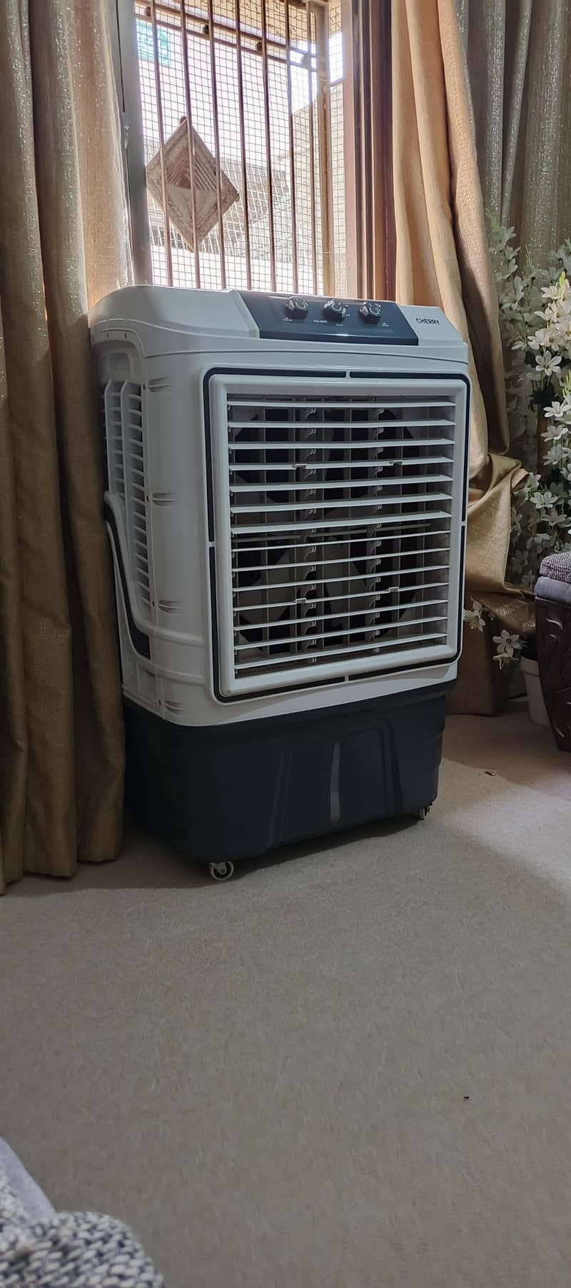 coolr 1