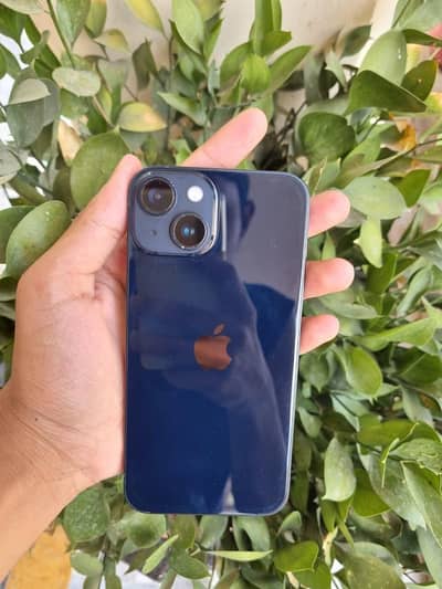 Apple iPhone 14