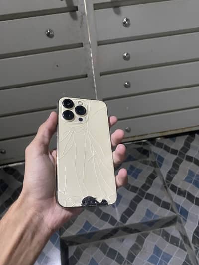 Apple iPhone 13 pro
