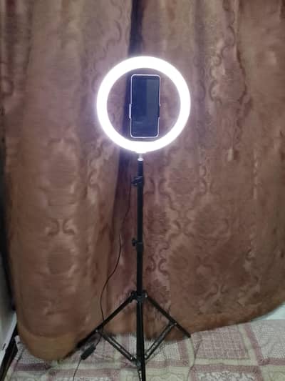 Ring light