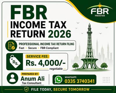 Consultancy Serives for in Tax Filer.