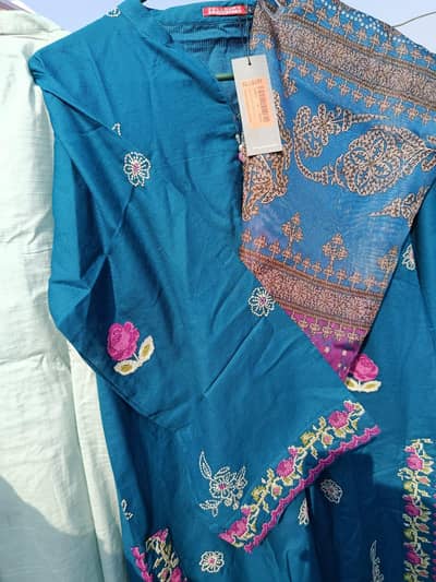 Zelburry Ladies Shirts suits dress With 30% Discount in Bulk