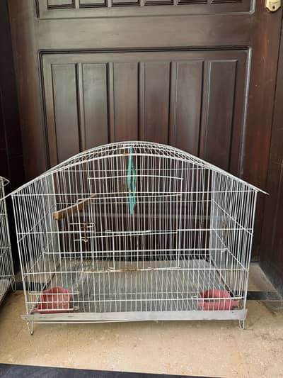 Birds cage