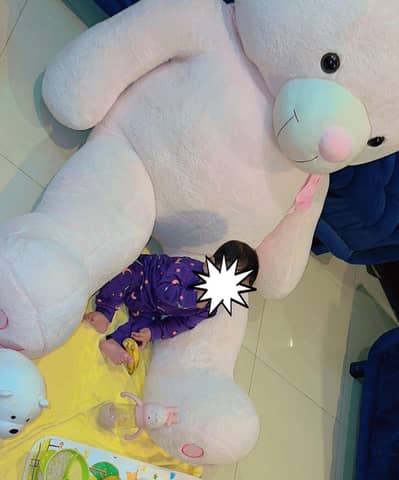 6 Feet Teddy bear For Sale