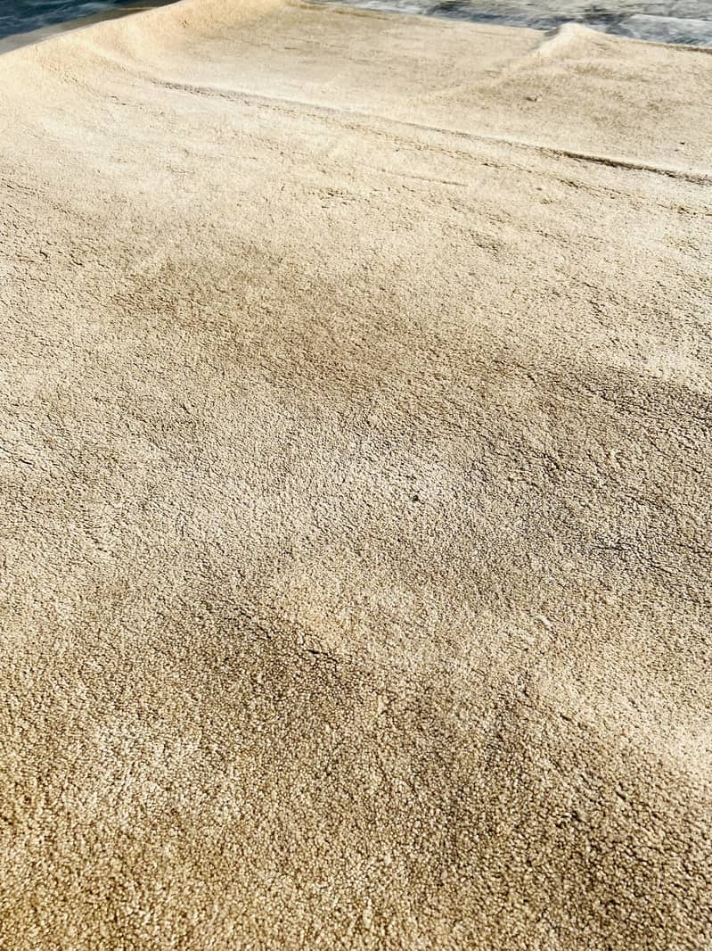 Carpets 2