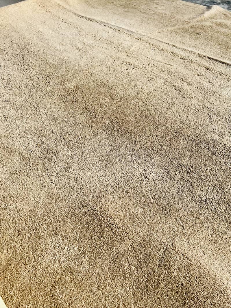 Carpets 3