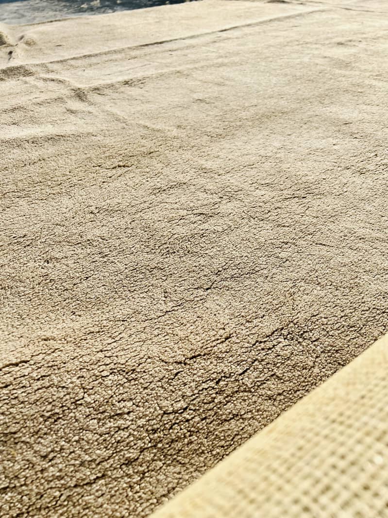 Carpets 5