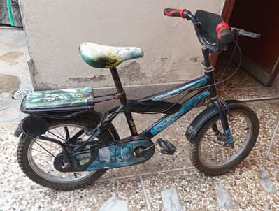  boys bicycle 
