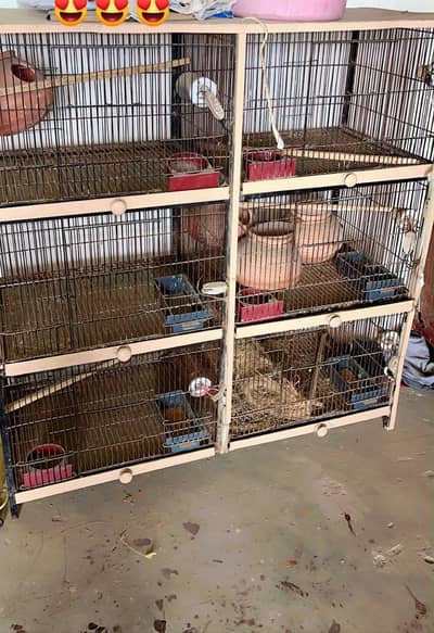 Love Bird cage good condition me hai. contact 0312 2213535