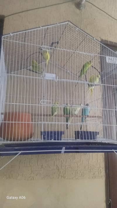 pair for sale