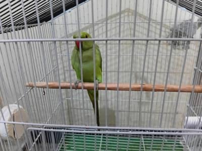 Full active and good condition