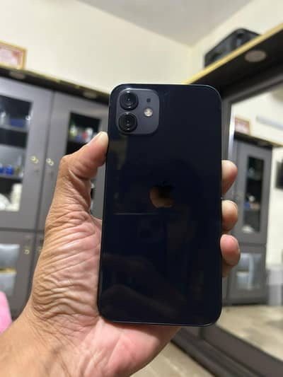 Apple iPhone 12