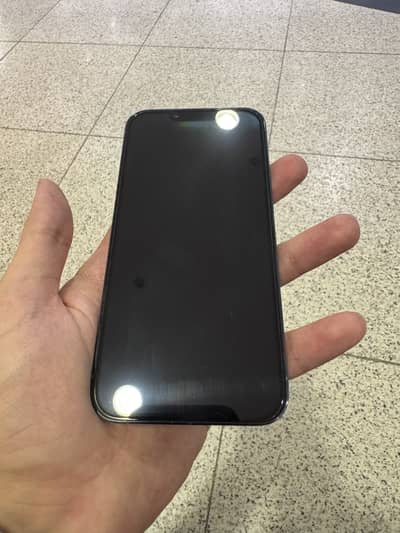Apple iPhone 13 Pro