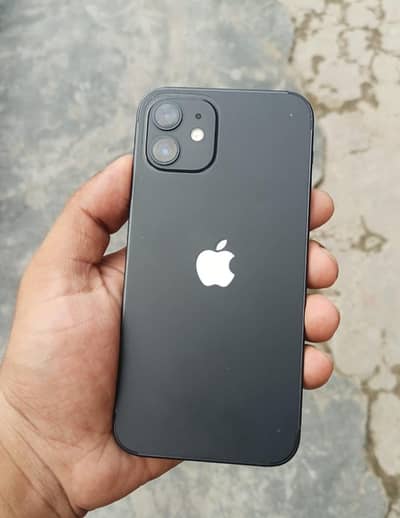 Apple iPhone 12